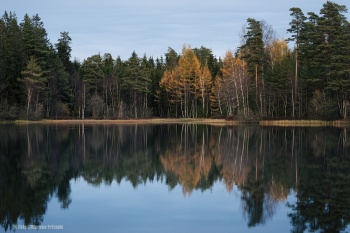 Der See bei der alten Mühle